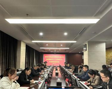乐玩【中国】召开集团管控 及人力资源优化咨询项目启动会